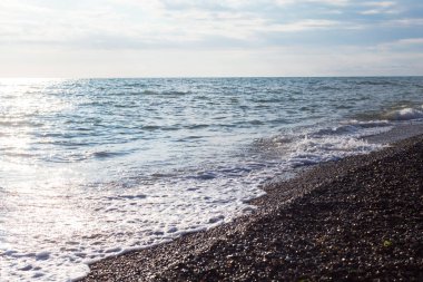Deniz Taşlı bir plajda sörf.