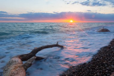 Deniz Taşlı bir plajda sörf.