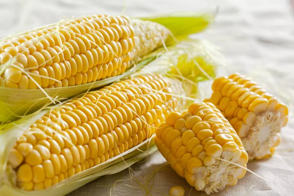 Corn Background Close — Stock Photo, Image