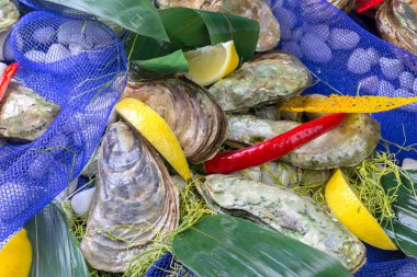 buz ve limon ile çiğ istiridye