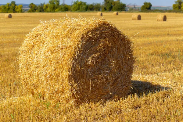 Gouden Hooibalen Platteland — Stockfoto