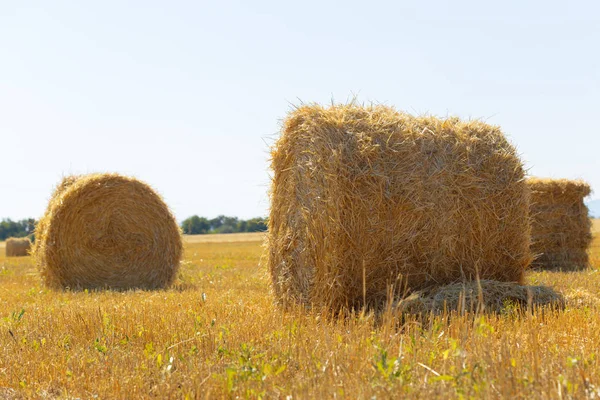 Golden Hay Bales Countryside — Stock Photo, Image