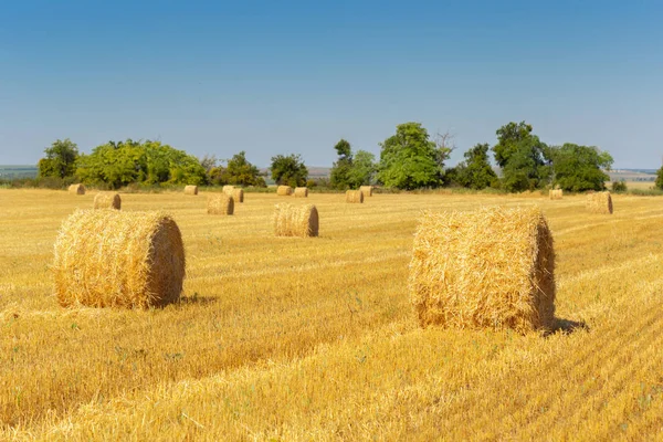 Golden Hay Bales Countryside — Stock Photo, Image