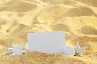 Resim çerçevesi kabukları ve kum arka plan üzerinde. Kopya alanı.