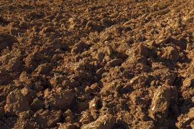 Kahverengi Toprak Doku Arkaplanı