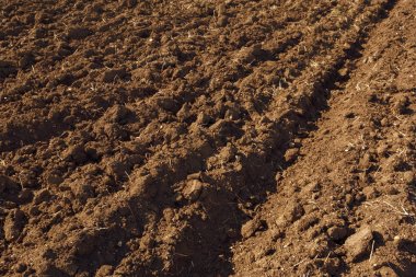 Kahverengi Toprak Doku Arkaplanı