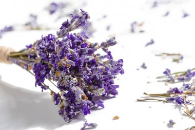 Lavanta çiçekleri yakın demet