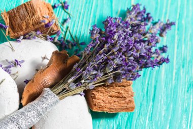 Taze lavanta, görünümü kadar yakın