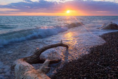 Deniz Taşlı bir plajda sörf.