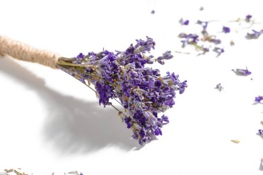 Lavanta çiçekleri yakın demet