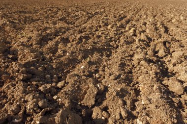 Kahverengi Toprak Doku Arkaplanı