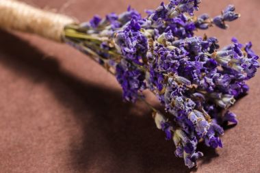 Lavanta çiçekleri yakın demet