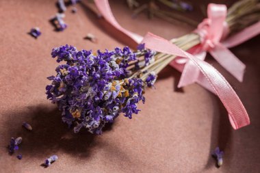 Lavanta çiçekleri yakın demet