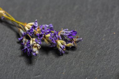 Taze lavanta, görünümü kadar yakın