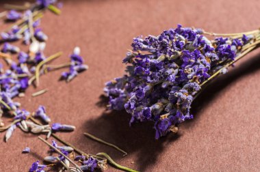 Lavanta çiçekleri yakın demet