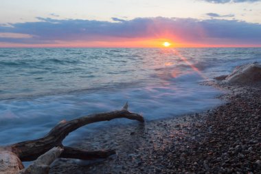 Deniz Taşlı bir plajda sörf.