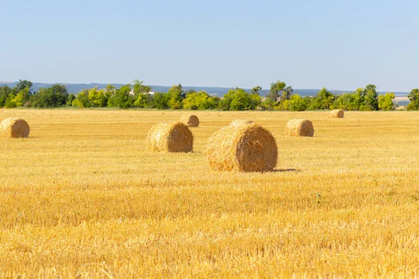Golden Hay Bales Countryside Nature — Stock Photo, Image