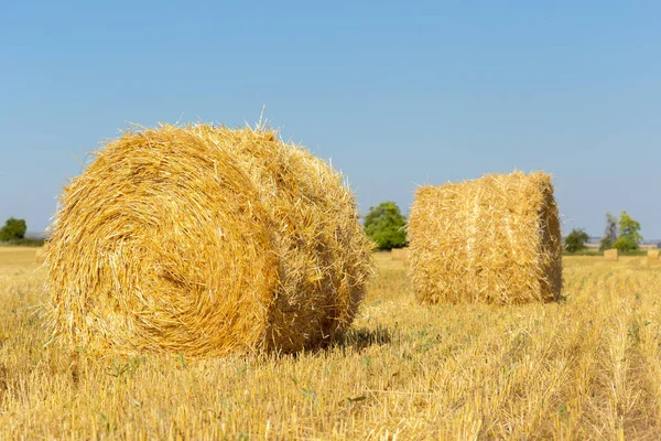 Golden Hay Bales Countryside — Stock Photo, Image