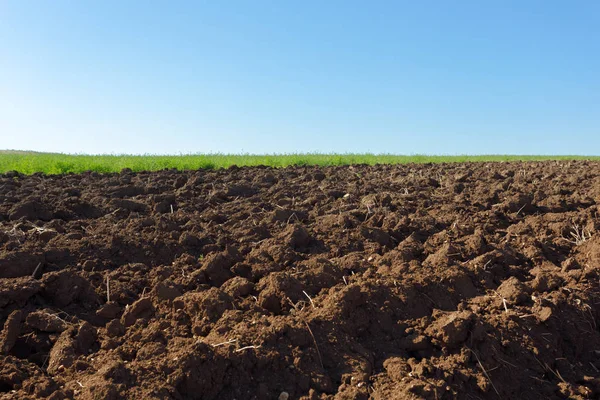 Campo Agricultura Día Soleado — Foto de Stock