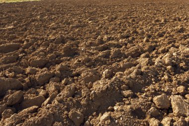 Kahverengi Toprak Doku Arkaplanı