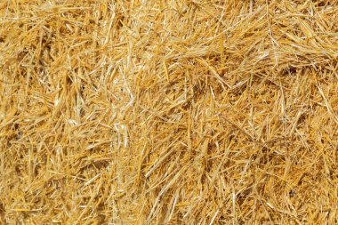 Kahverengi kurutulmuş saman arka plan