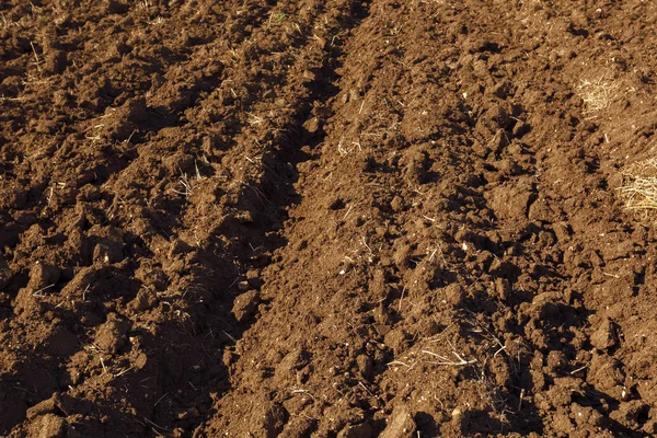 茶色の土壌テクスチャ背景 — ストック写真