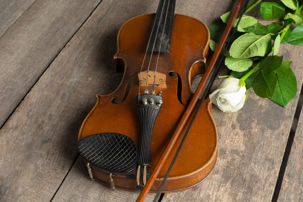 Bellissimo Violino Con Rosa Bianca — Foto Stock