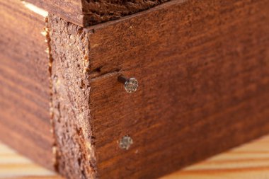 Çivi ağaç dövülmüş, yakın çekim