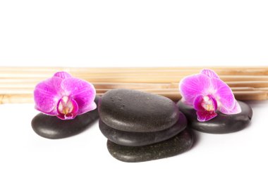 Zen taşlar ve orkide çiçekleri ile kompozisyon