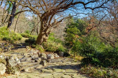 Yeşil güzel manzaralı