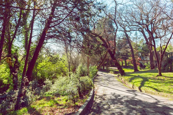 Green Beautiful Park View — Stock Photo, Image