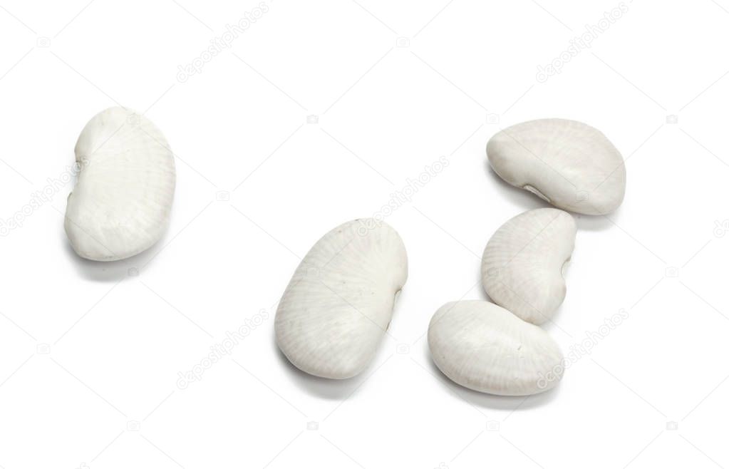 White beans close up isolated