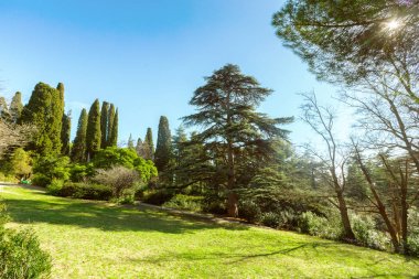 Yeşil güzel manzaralı