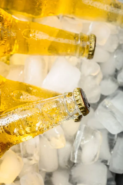 Botellas Cerveza Fría Fresca Con Hielo — Foto de Stock