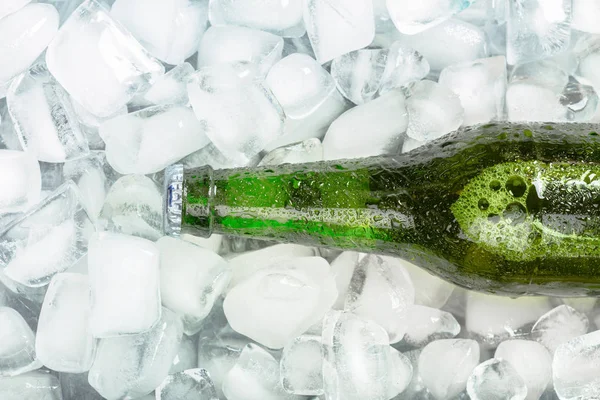 Bottle of cold and fresh beer with ice