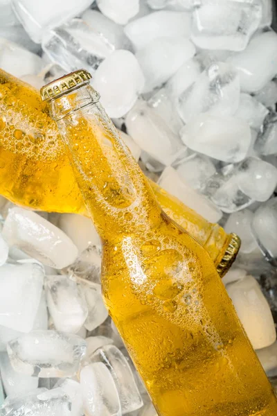 Garrafas Cerveja Fria Fresca Com Gelo — Fotografia de Stock