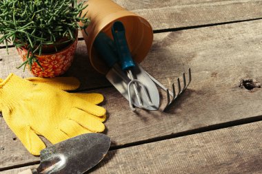 Bahçe aletleri bileşimi yakın çekim