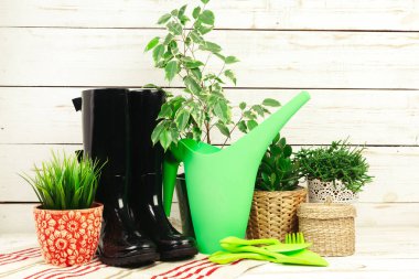 Bahçe aletleri bileşimi yakın çekim