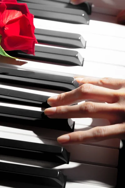 Rosas Vermelhas Teclas Piano — Fotografia de Stock