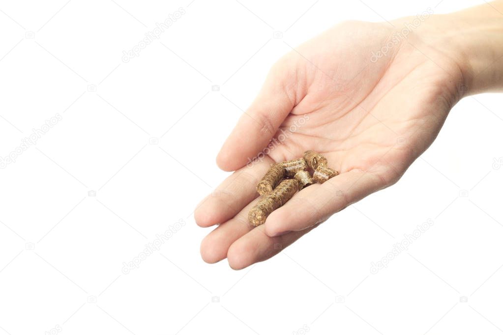 Human hand holding solid wooden pellets