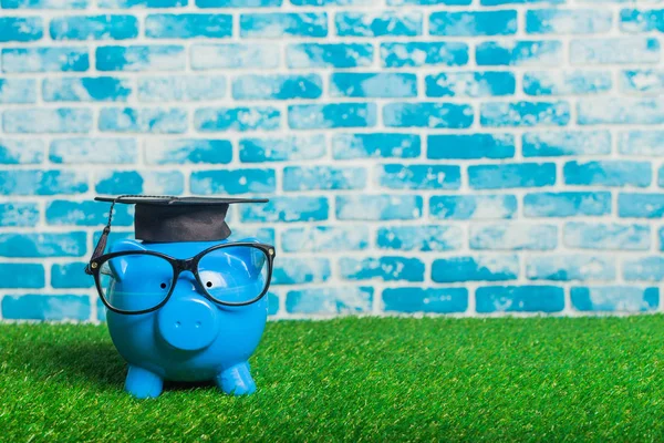 College graduate student diploma and piggy bank