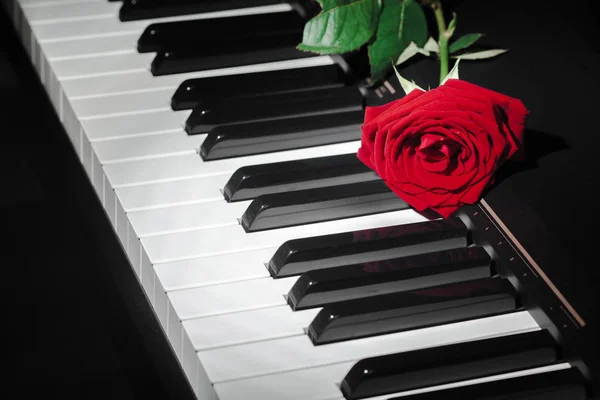 Piano Cauda Com Rosa Vermelha — Fotografia de Stock