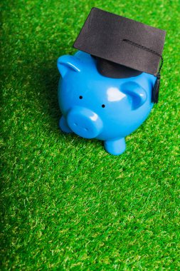 Üniversite yüksek lisans öğrencisi diploma ve kumbara