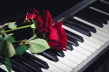 piyano tuşlarını kırmızı gül