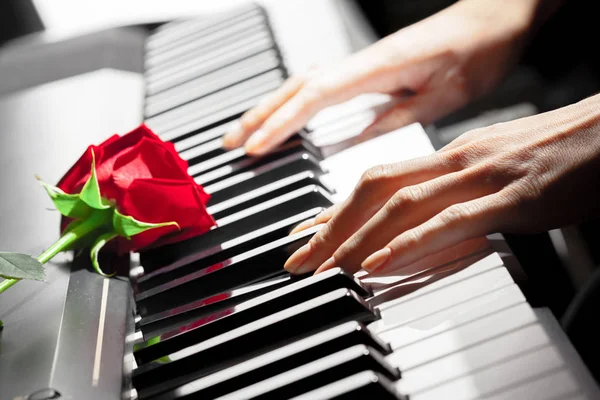 Rosas Vermelhas Teclas Piano — Fotografia de Stock