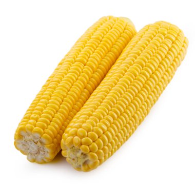 Beyaz arka planda mısır. Yaratıcı Fotoğraf