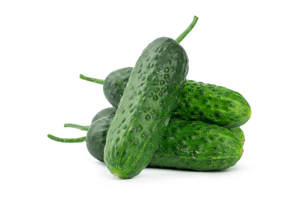 Cucumber isolated on white background. creative photo — Stock Photo, Image