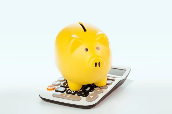 Piggy Bank med miniräknare på vit bakgrund. Kreativ bild. — Stockfoto