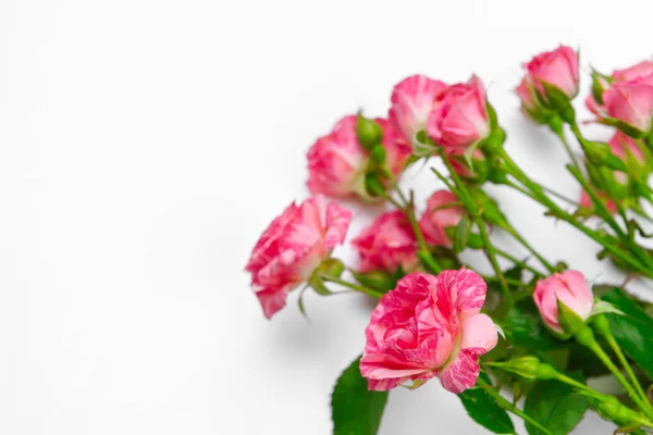Маленькі рожеві троянди на білому столі. Ніжний романтичний фон. Квітковий фон. креативна фотографія . — стокове фото
