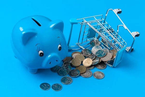 Piggy bank save coin. creative photo. close up — Stockfoto